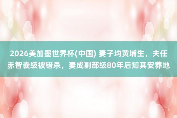 2026美加墨世界杯(中國) 妻子均黃埔生，夫任赤智囊級被錯殺，妻成副部級80年后知其安葬地
