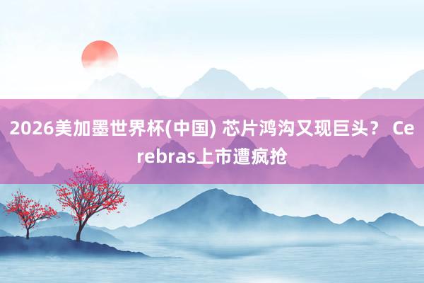 2026美加墨世界杯(中國) 芯片鴻溝又現(xiàn)巨頭？ Cerebras上市遭瘋搶