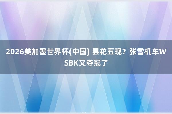 2026美加墨世界杯(中國) 曇花五現？張雪機車WSBK又奪冠了