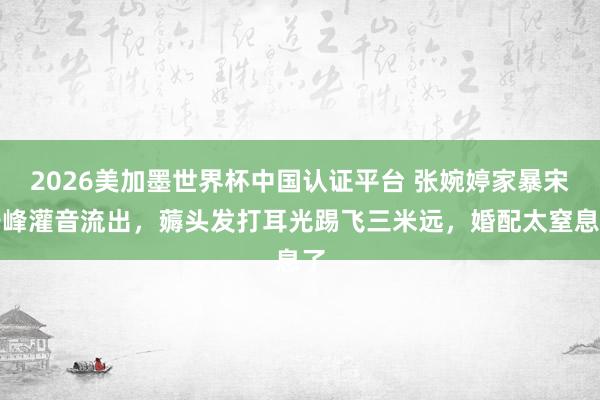 2026美加墨世界杯中國認證平臺 張婉婷家暴宋寧峰灌音流出，薅頭發(fā)打耳光踢飛三米遠，婚配太窒息了