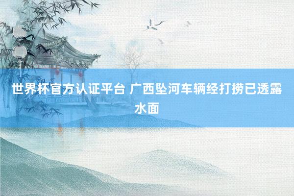 世界杯官方認(rèn)證平臺(tái) 廣西墜河車輛經(jīng)打撈已透露水面