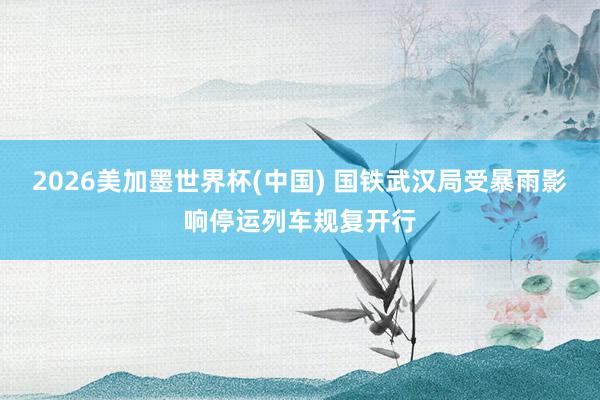 2026美加墨世界杯(中國) 國鐵武漢局受暴雨影響停運列車規復開行