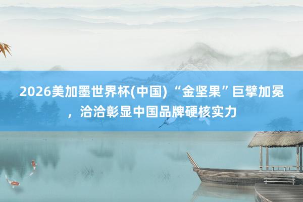 2026美加墨世界杯(中國) “金堅果”巨擘加冕，洽洽彰顯中國品牌硬核實力