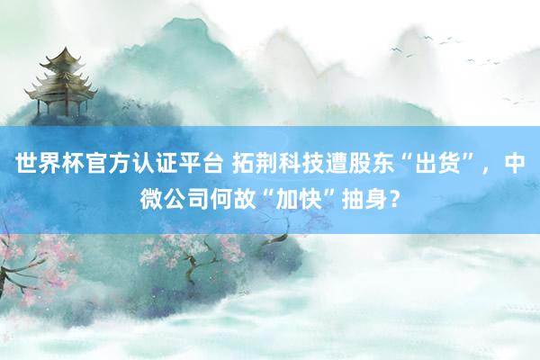 世界杯官方認(rèn)證平臺(tái) 拓荊科技遭股東“出貨”，中微公司何故“加快”抽身？