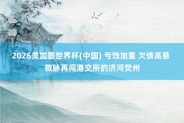 2026美加墨世界杯(中國) 虧蝕加重 欠債高懸 微脈再闖港交所的濟河焚州