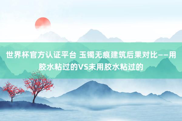 世界杯官方認(rèn)證平臺(tái) 玉鐲無(wú)痕建筑后果對(duì)比——用膠水粘過(guò)的VS未用膠水粘過(guò)的