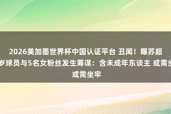 2026美加墨世界杯中國認證平臺 丑聞！曝蘇超20歲球員與5名女粉絲發生籌謀：含未成年東談主 或需坐牢