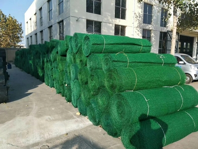 日喀則地區鋼塑復合土工格柵價格《-歡迎您》日喀則地區價格《-歡迎您》